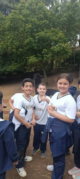 Bicho Mania 2022